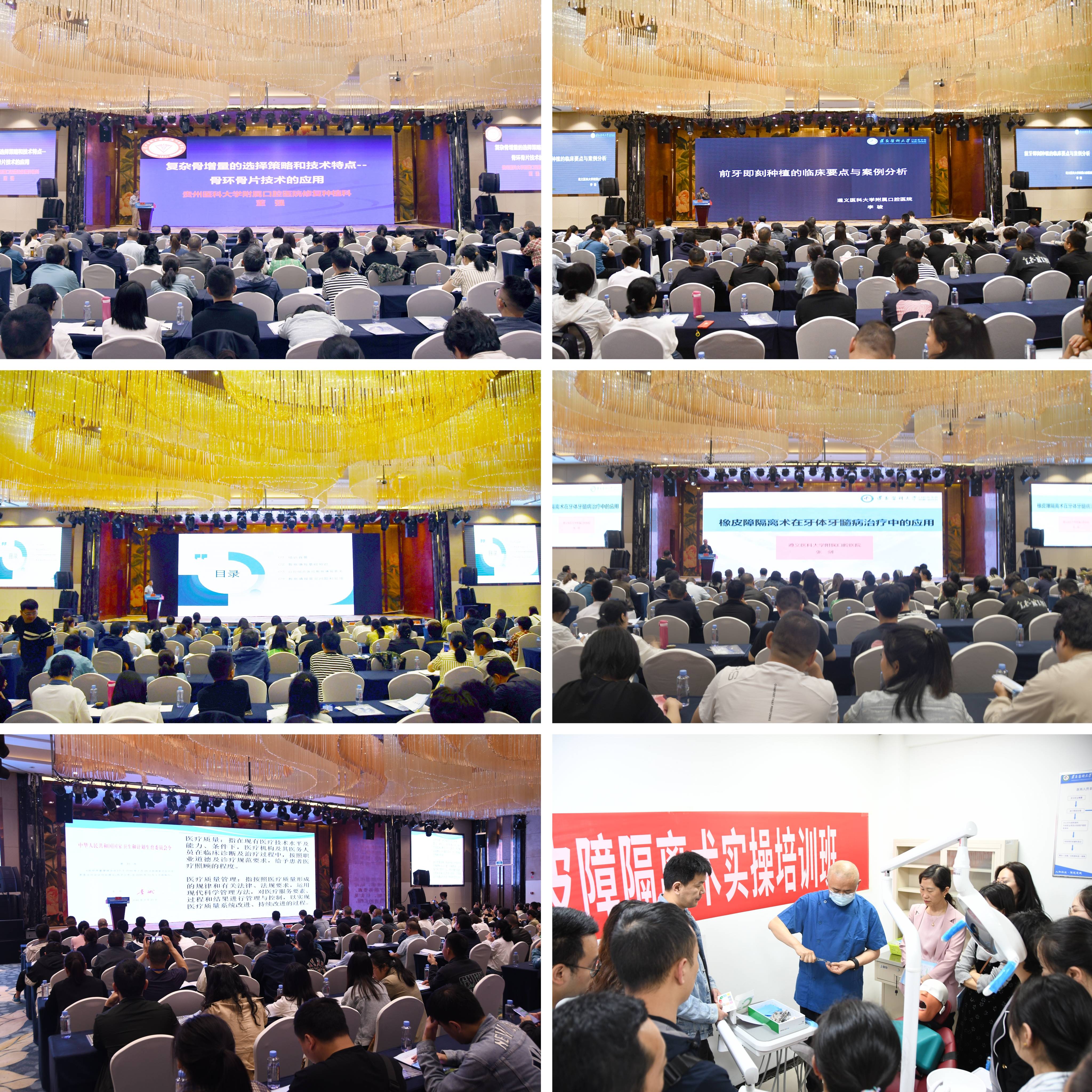 微信图片_20240513145858(1).jpg